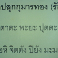 DSC09106