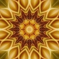 01 mandala du jour