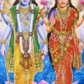 lakshmi vishnu PF84 l