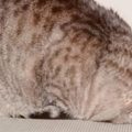 944