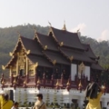 DSC09210
ราชพฤก