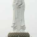 13504.jpg