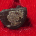 DSC09151