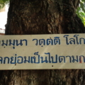 Photo0069
