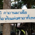 Photo0077