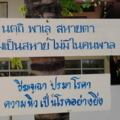 Photo0078