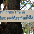 Photo0088