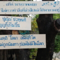 Photo0089