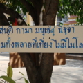 Photo0098