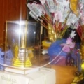 IMGP4375