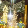 IMGP4427