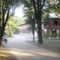 IMGP4464