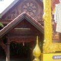 IMGP4434