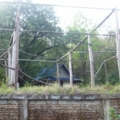 IMGP4572