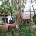 IMGP4589