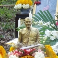 IMGP4609