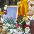IMGP4610