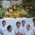 IMGP4648