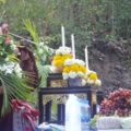 IMGP4698