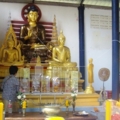 IMGP4760