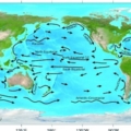 800px Ocean surface currents