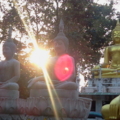 ณ วัดป่าโนนจ่าหอม อ.เหล่าเสือโก้ก จ.อุบลฯ - 3 มี.ค. 55