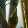 P1270514 resize