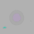 2012 03 03 17.27.09 resize a