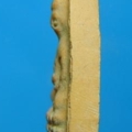 c4