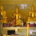 DSC09262