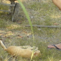 DSC09280