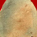 P1011761