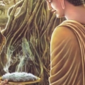 16biography of Lord Buddha