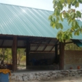 IMGP4825