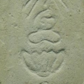 09หลัง
