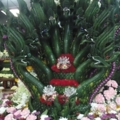 DSC07584