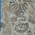 d2