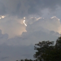 Pictures 004