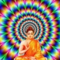 sriarayaX