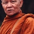 หลวงตามหาบัว5