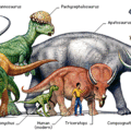 DinosaursRef