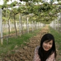 DSCF0220
