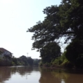 R0010667 (Large)