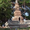 R0010690 (Large)
