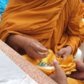 DSCF1301