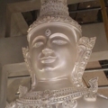 DSC 0243