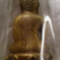 Photo 0003 4
