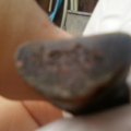 Photo 0001 3