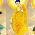 พระอมิตาภพุทธเจ้าพร้อมพระอวโลมหาโพธิสัตว์กิเตศวรและพระมหาสถามปราปต์มหาโพธิสัตว์