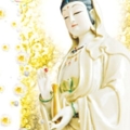 พระมหาโพธิสัตว์อวโลกิเตศวร9